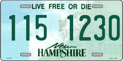 NH license plate 1151230