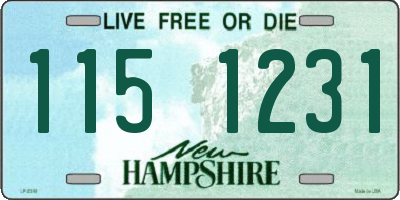 NH license plate 1151231