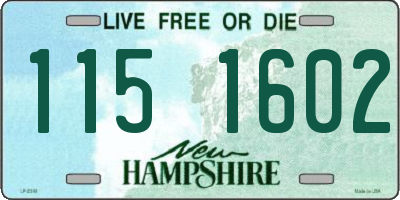 NH license plate 1151602