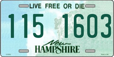 NH license plate 1151603