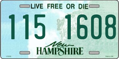 NH license plate 1151608