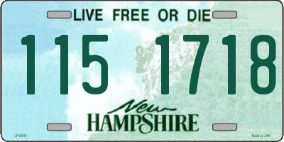 NH license plate 1151718