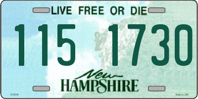 NH license plate 1151730