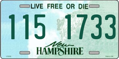 NH license plate 1151733