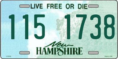NH license plate 1151738