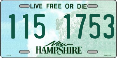NH license plate 1151753