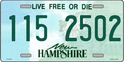 NH license plate 1152502