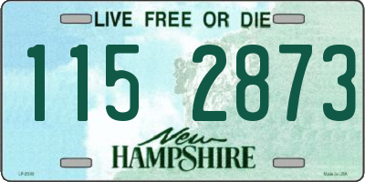 NH license plate 1152873