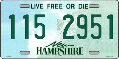 NH license plate 1152951