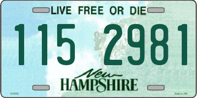 NH license plate 1152981