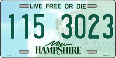 NH license plate 1153023