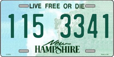 NH license plate 1153341