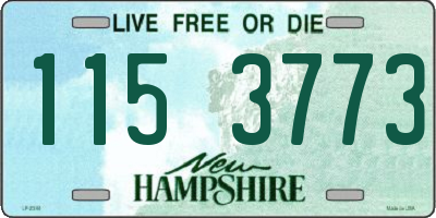 NH license plate 1153773