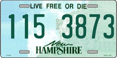 NH license plate 1153873