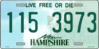NH license plate 1153973