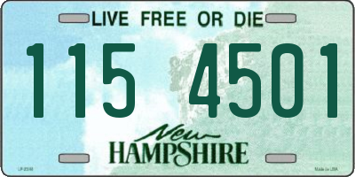NH license plate 1154501