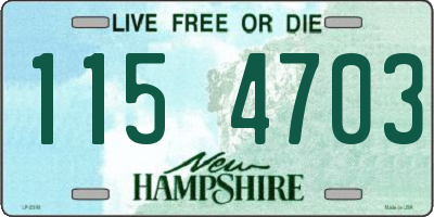NH license plate 1154703