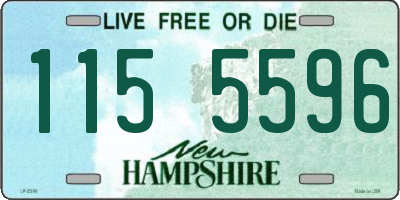 NH license plate 1155596