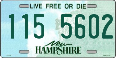 NH license plate 1155602