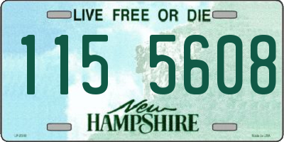 NH license plate 1155608
