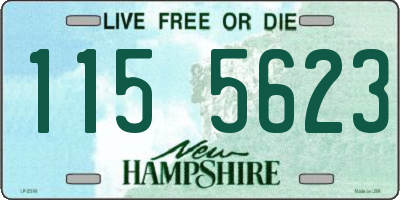 NH license plate 1155623