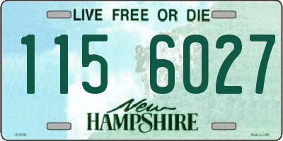 NH license plate 1156027