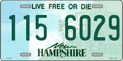 NH license plate 1156029