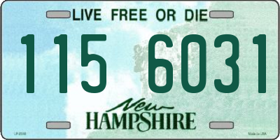 NH license plate 1156031