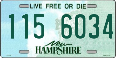 NH license plate 1156034