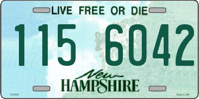 NH license plate 1156042