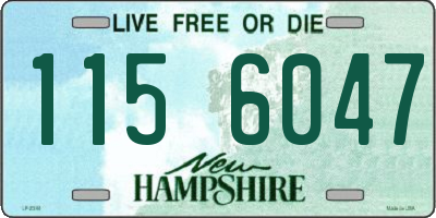 NH license plate 1156047
