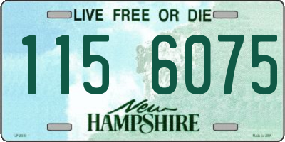 NH license plate 1156075