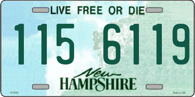 NH license plate 1156119