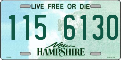 NH license plate 1156130