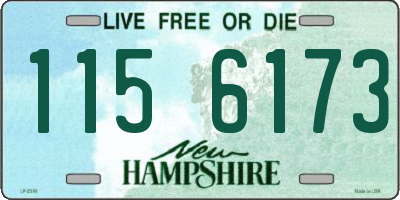 NH license plate 1156173