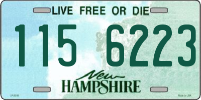 NH license plate 1156223