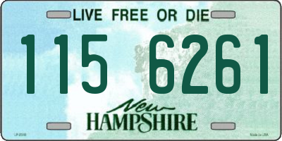 NH license plate 1156261