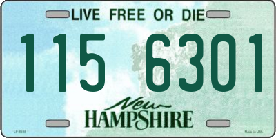 NH license plate 1156301