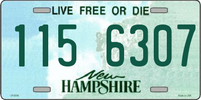 NH license plate 1156307