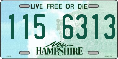 NH license plate 1156313