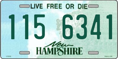 NH license plate 1156341
