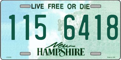 NH license plate 1156418