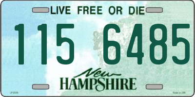 NH license plate 1156485