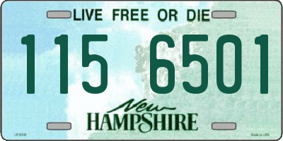NH license plate 1156501