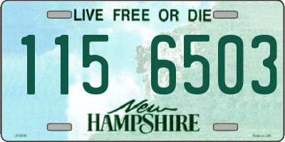 NH license plate 1156503