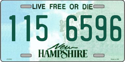 NH license plate 1156596