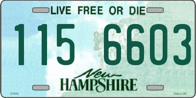 NH license plate 1156603