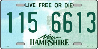 NH license plate 1156613