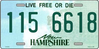 NH license plate 1156618