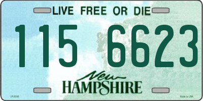 NH license plate 1156623